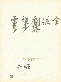 电视剧流金岁月多少集