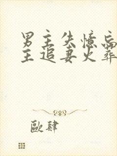 男主失忆忘了女主追妻火葬场封面