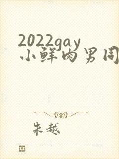 2022gay小鲜肉男同