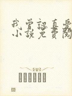 我曾认真爱过你小说免费阅读