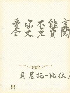 爱你不能言小说全文免费阅读封面