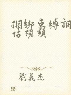 捆绑束缚调教网站视频