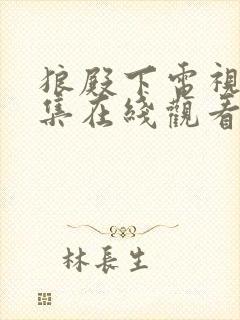 狼殿下电视剧全集在线观看免费