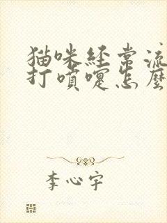 猫咪经常流鼻涕打喷嚏怎么回事