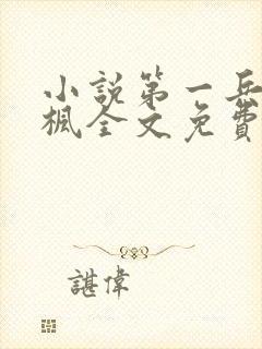 小说第一兵王于枫全文免费阅读