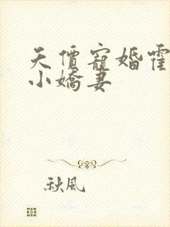 夭价宠婚霍总的小娇妻