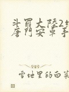 斗罗大陆2绝世唐门安卓手游