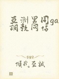 亚洲男同gay调教网站