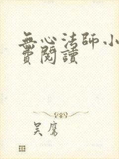 无心法师小说免费阅读封面