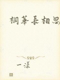 桐华长相思原著封面