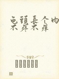 龟头长个肉疙瘩不疼不痒