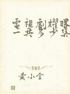 电视剧耀眼的你一共多少集