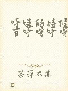 呼吸的时候肺部有呼噜呼噜的声音封面