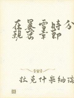 在暴雪时分小说亲密章节
