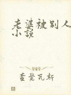 老婆被别人操了小说