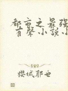 都市之最强仙医 有声小说小说