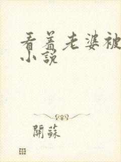 看着老婆被人操小说