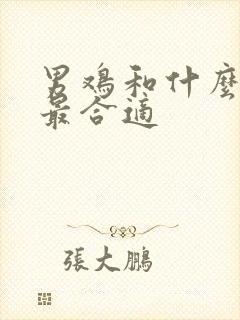 男鸡和什么属相最合适