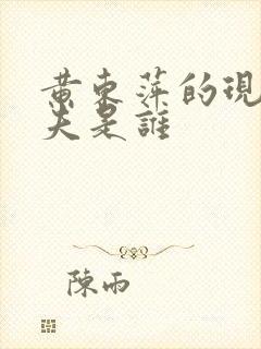 黄东萍的现任丈夫是谁封面