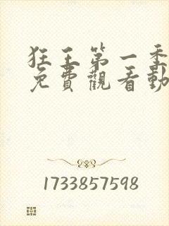 狂王第一季全集免费观看动漫版