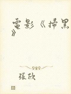 电影《扫黑英雄》