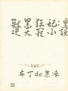 兽黑狂妃:皇叔逆天宠小说看