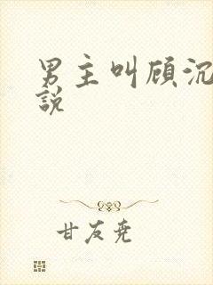男主叫顾沉的小说