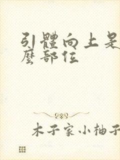 引体向上是练什么部位