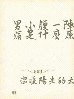 男小腹一阵一阵痛是什么原因