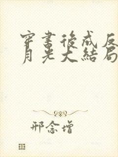 穿书后成反派白月光大结局