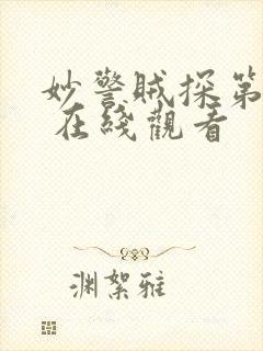 妙警贼探第四季 在线观看