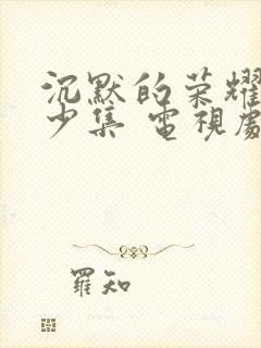 沉默的荣耀共多少集 电视剧免费观看