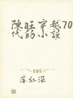 陈旺穿越70年代的小说封面