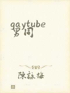 gaytube男同