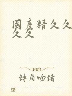 国产精久久久久久久