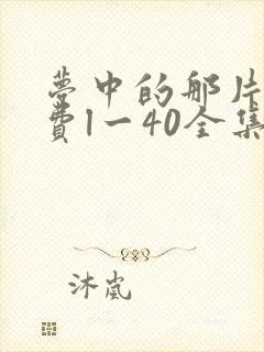 梦中的那片海免费l一40全集