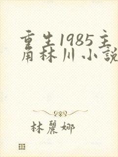 重生1985主角林川小说