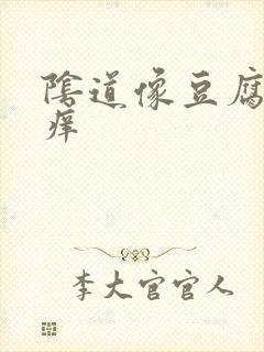 阴道像豆腐渣还痒