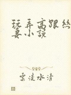 玩弄高跟丝袜人妻小说