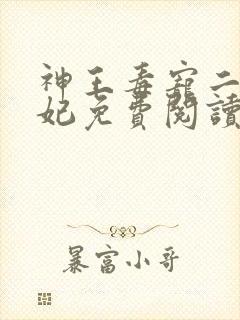 神王毒宠二嫁王妃免费阅读全文