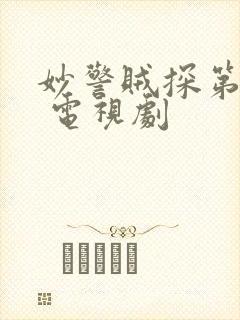 妙警贼探第六季 电视剧封面