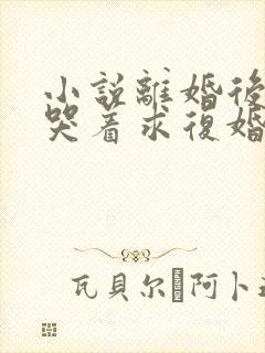 小说离婚后前夫哭着求复婚