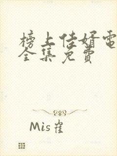 榜上佳婿电视剧全集免费