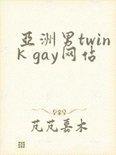 亚洲男twink gay网站