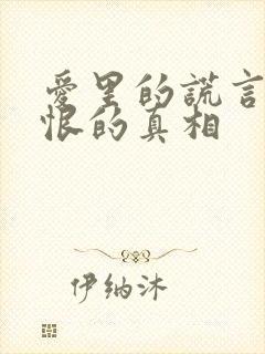 爱里的谎言,仇恨的真相封面