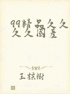 99精品久久久久久国产