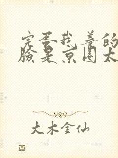 完蛋我养的小白脸是京圈太子爷