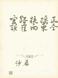 官路扶摇正版小说崔向东全本阅读封面