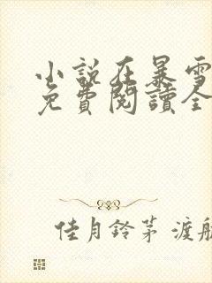 小说在暴雪时分免费阅读全文无窗口