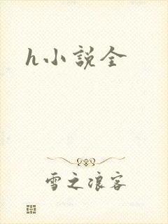 h小说全